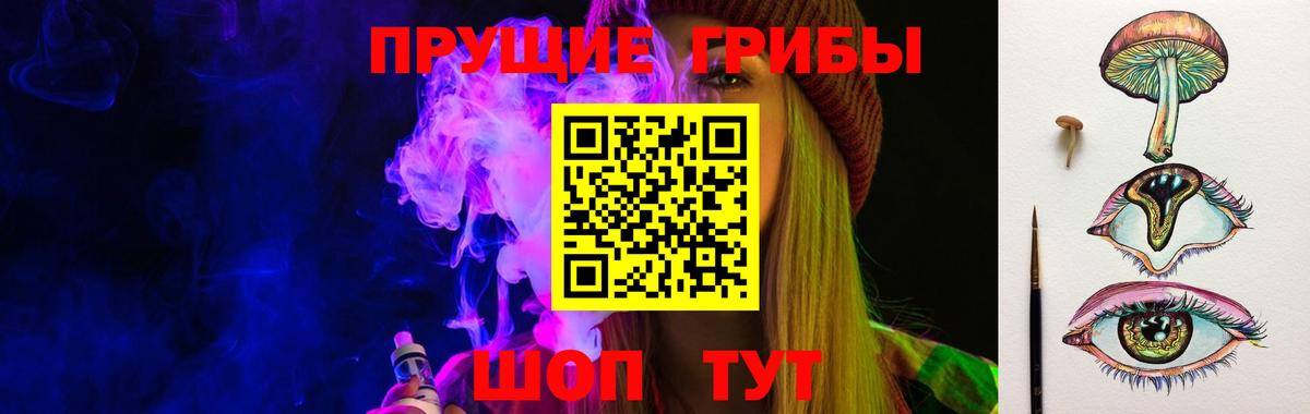 где купить наркоту  Галлюциногенные грибы GOLDEN TEACHER  Вход с VPN  Видное 